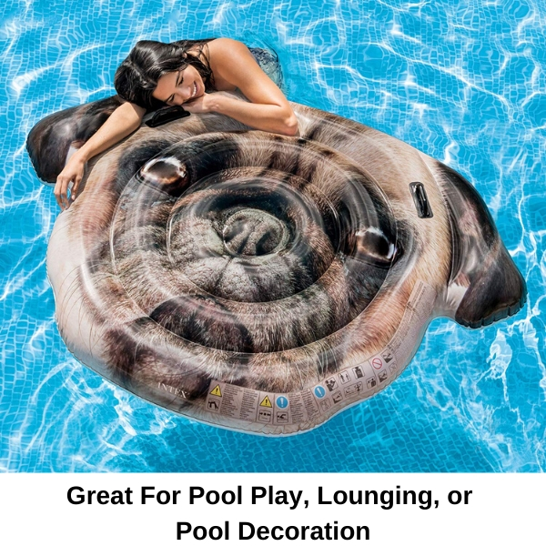 pool flotation toys